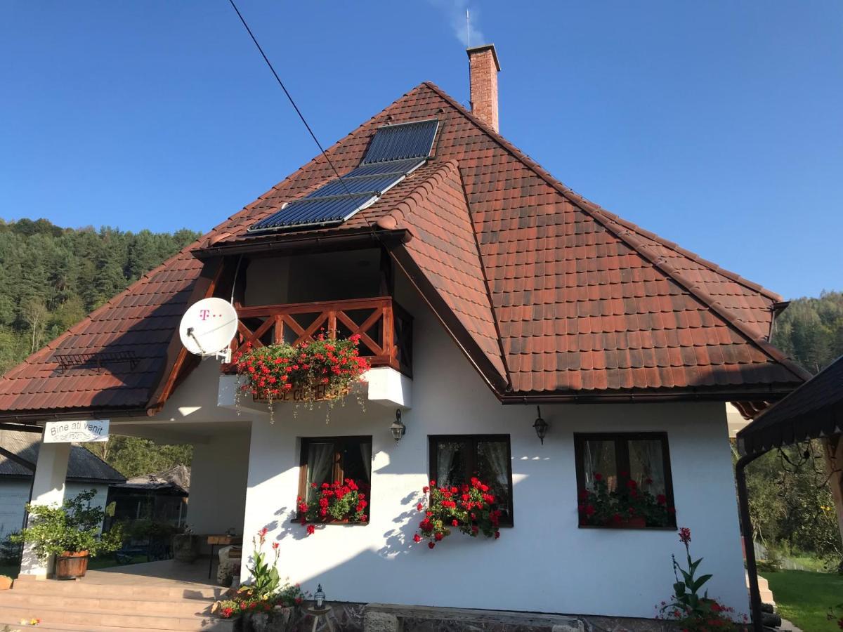 Pensiunea Dealul Cu Melci Vidra  Exterior foto