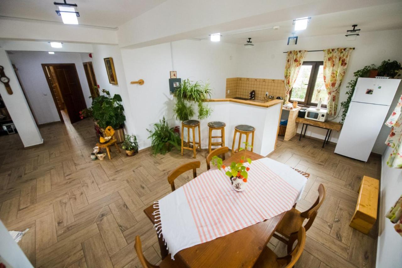 Pensiunea Dealul Cu Melci Vidra  Exterior foto