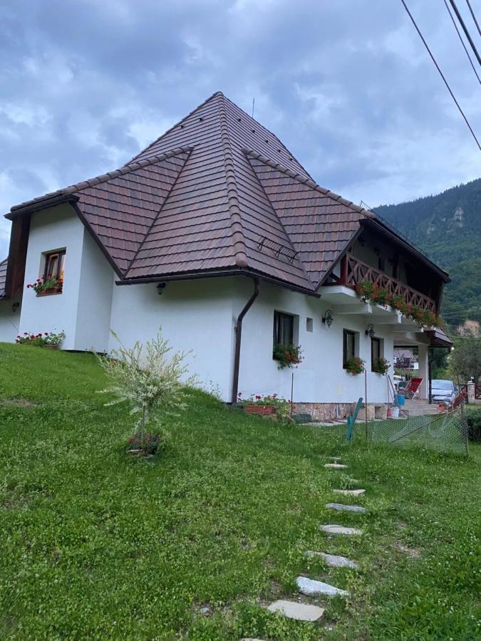 Pensiunea Dealul Cu Melci Vidra  Exterior foto