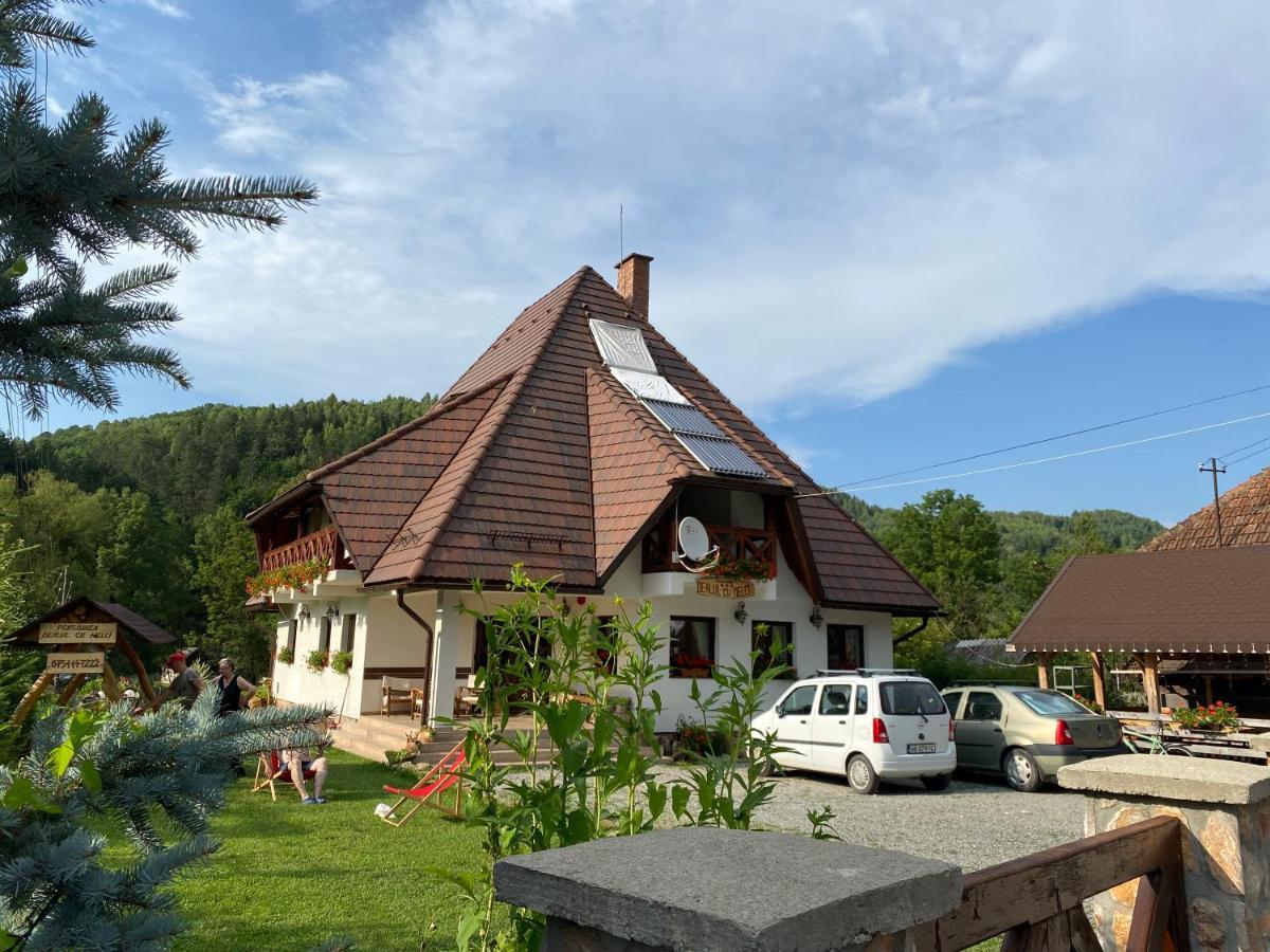Pensiunea Dealul Cu Melci Vidra  Exterior foto