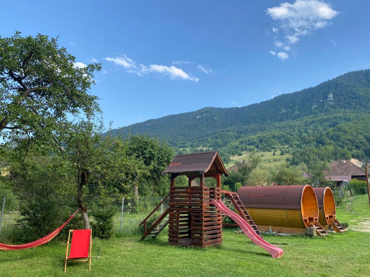 Pensiunea Dealul Cu Melci Vidra  Exterior foto