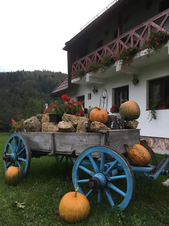Pensiunea Dealul Cu Melci Vidra  Exterior foto